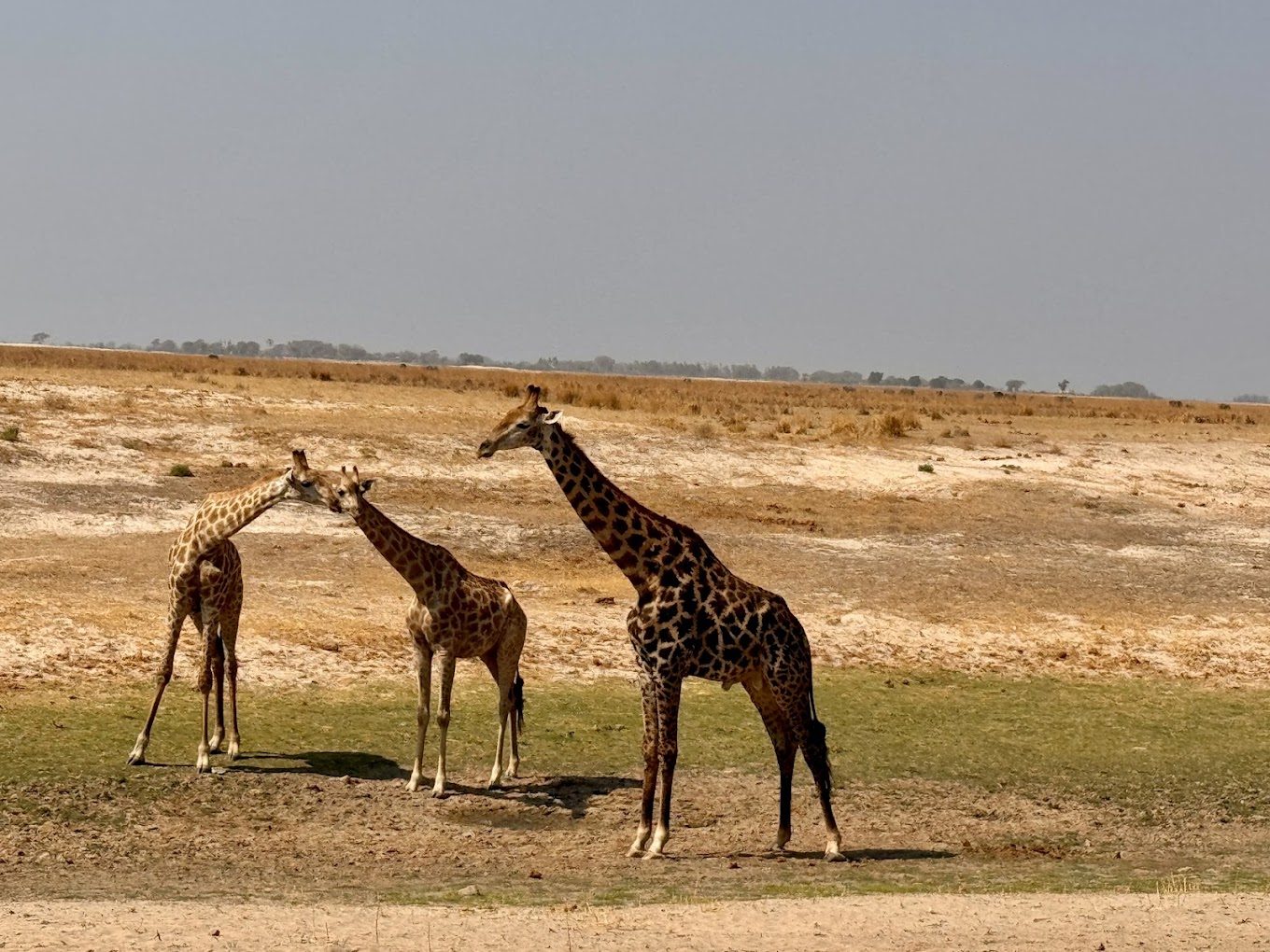 8-Day Victoria Falls, Chobe & Namibia Explorer